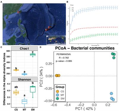 Microbial diversity and biogeochemical cycling potential in deep-sea sediments associated with seamount, trench, and cold seep ecosystems